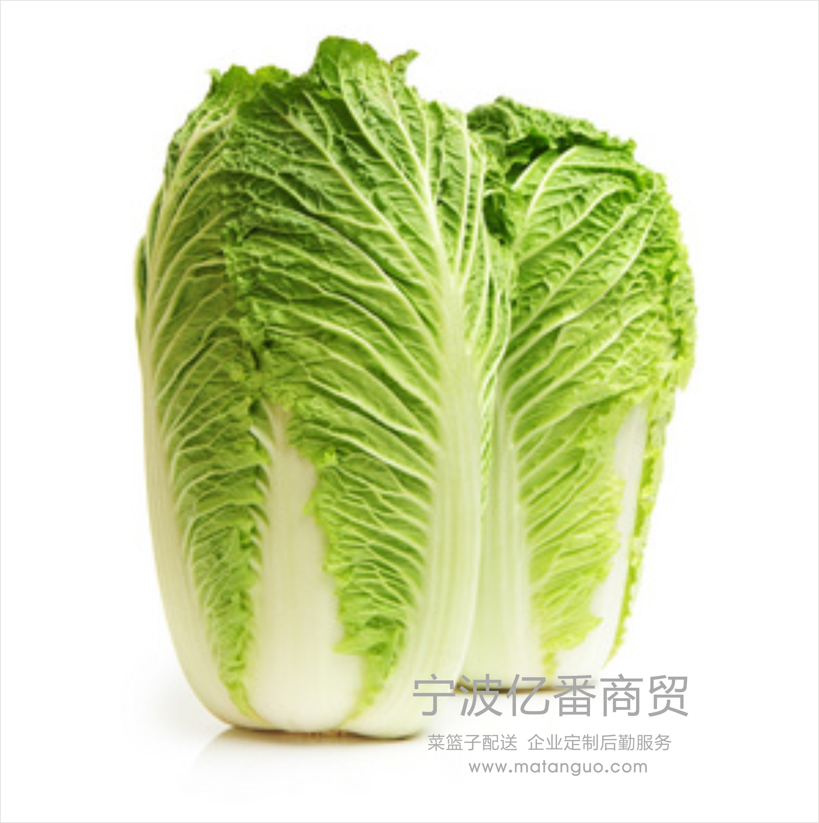蔬菜配送/大白菜/食堂餐厅专供