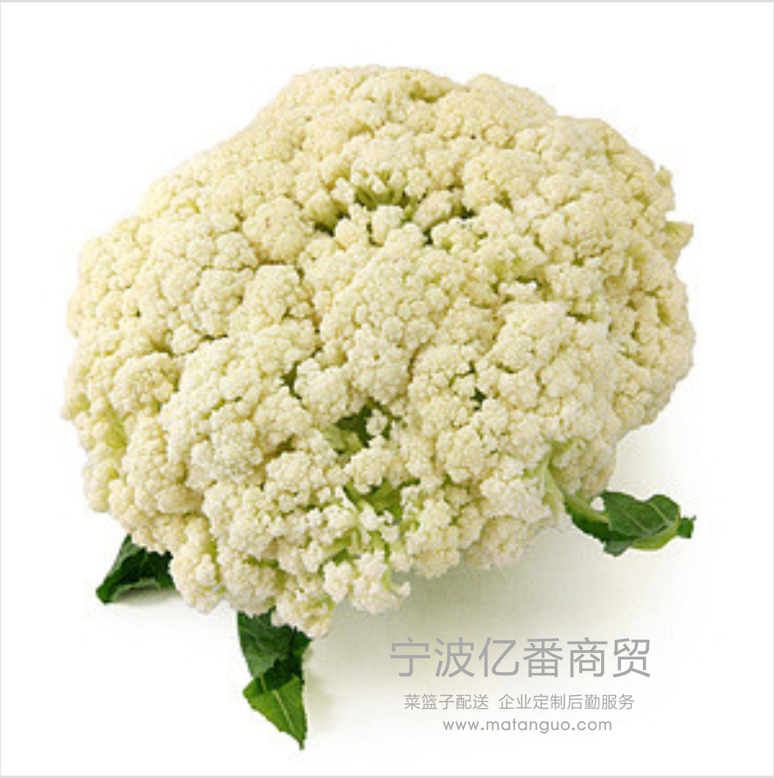 蔬菜配送/花菜/食堂餐厅专供